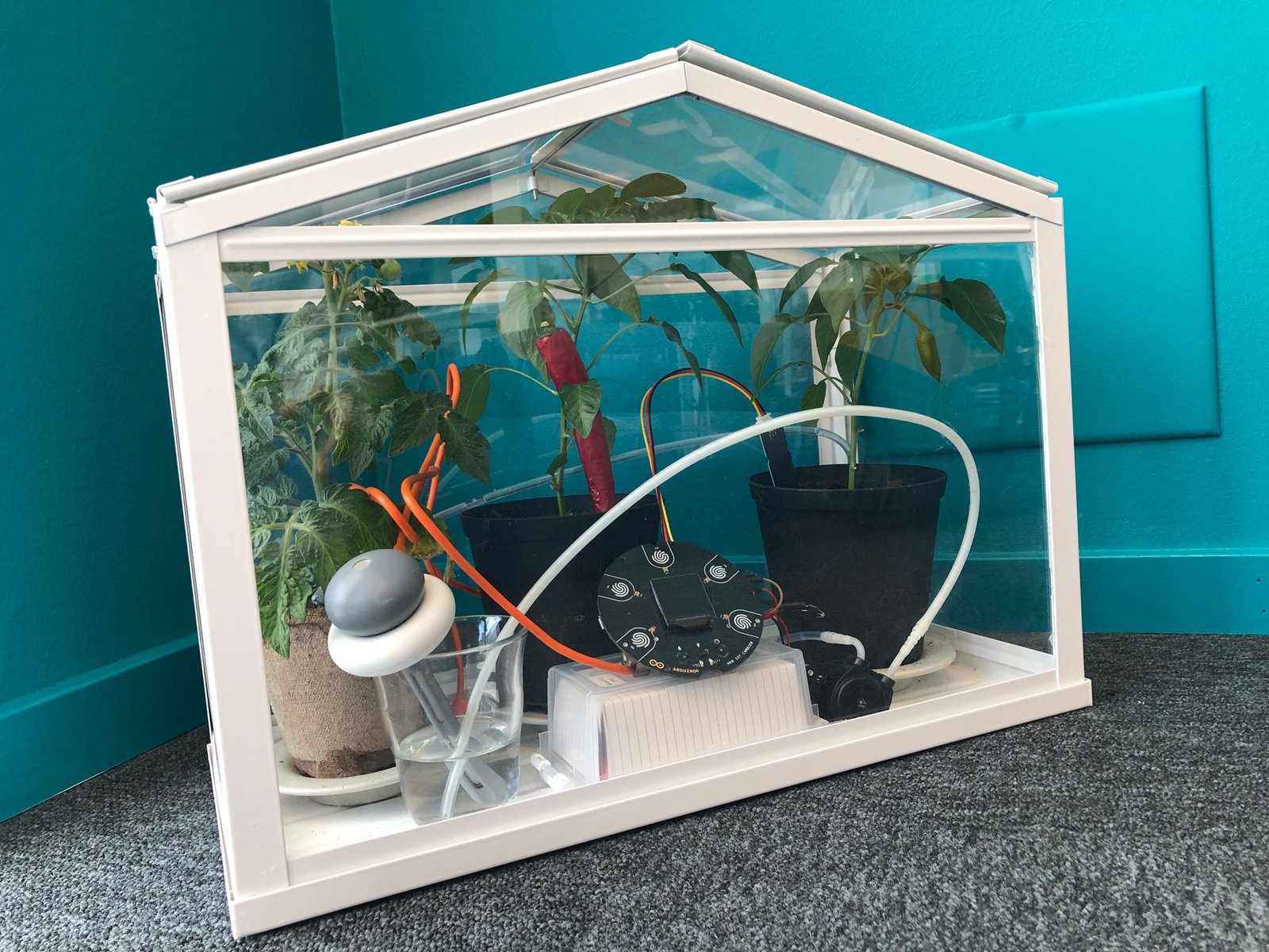 Smart Greenhouse Monitoring System